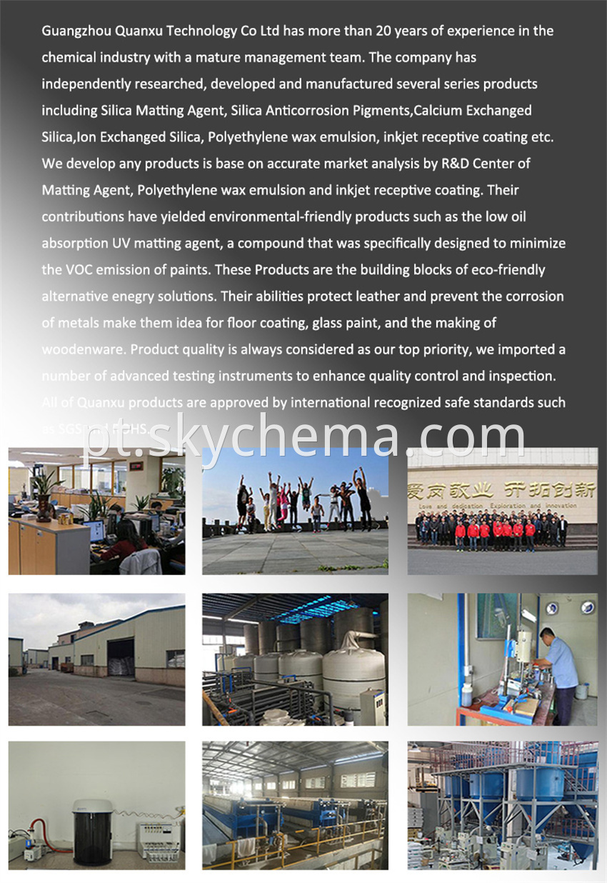 Company Profile 6